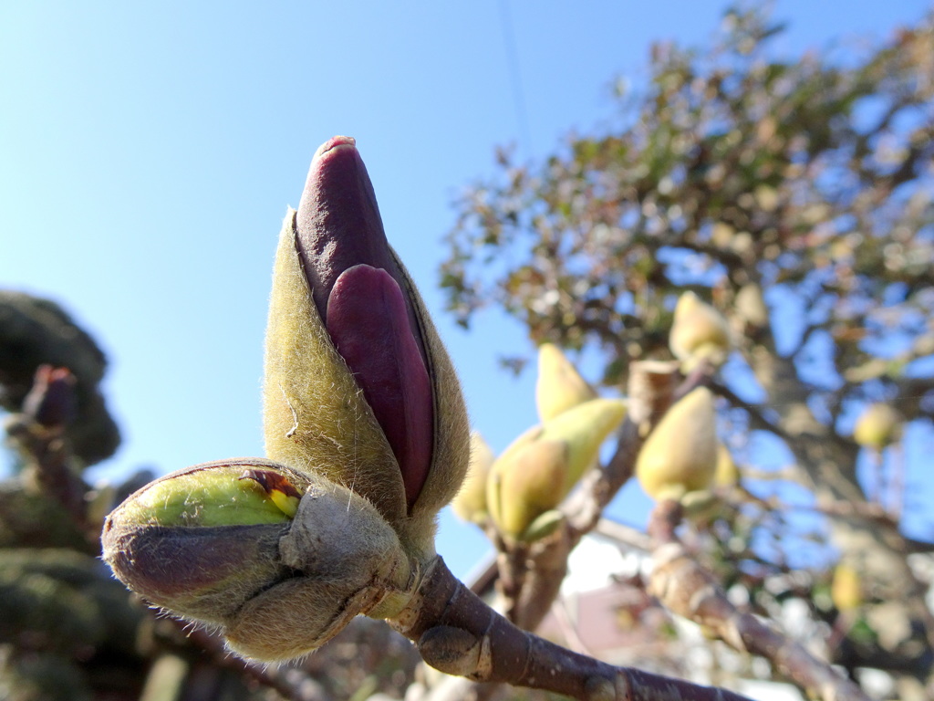 う～～～んあったかいなぁ