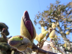 う～～～んあったかいなぁ