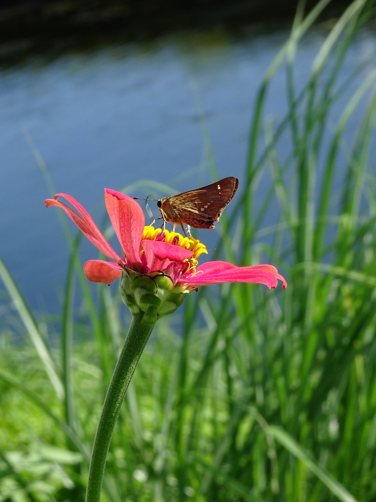 ただいま朝食中