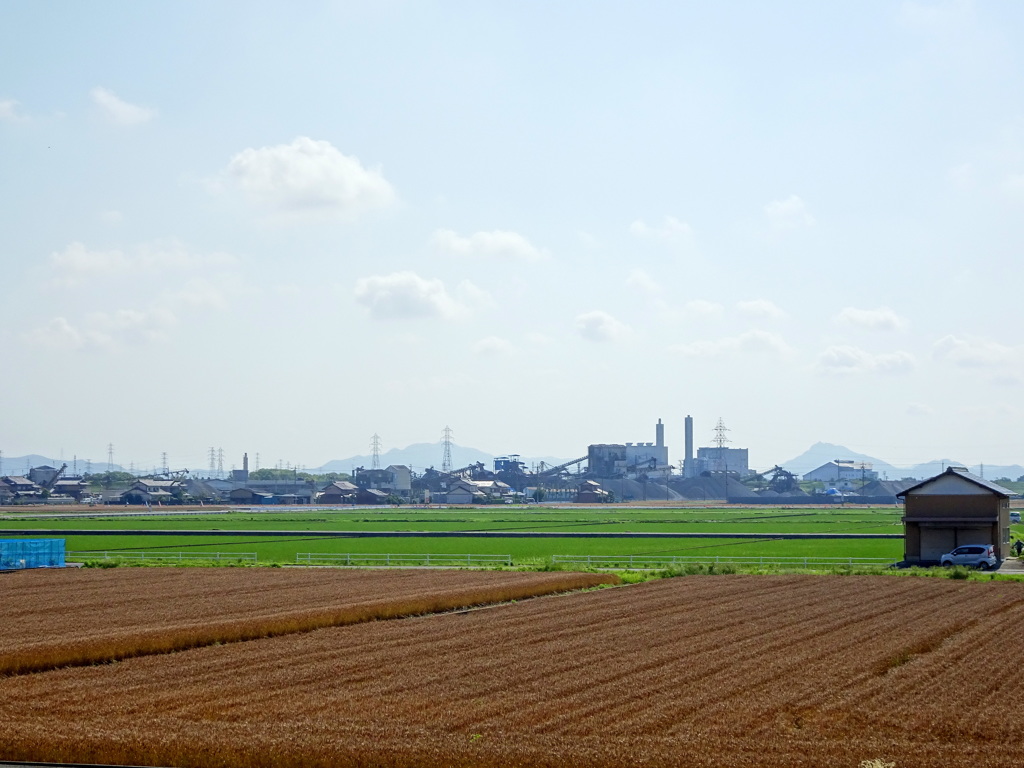 ツートンカラー