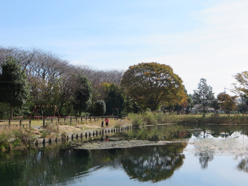 晩秋の公園