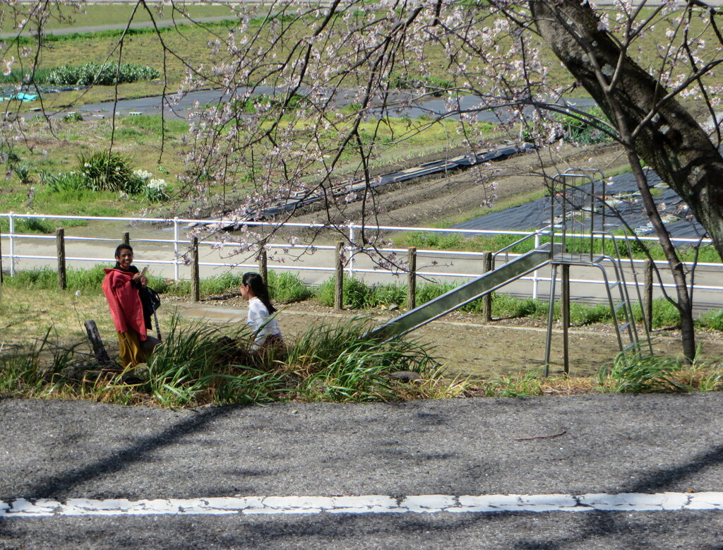 きれいに撮らなくちゃ