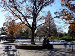 これから狙います