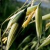 花粉症の方近寄らないで