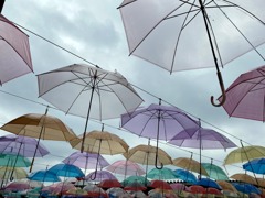 雨の日の楽しみ