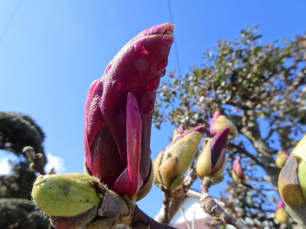 う～～～んあったかい