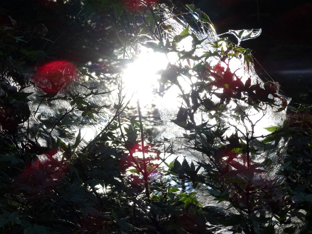 不思議な空間２