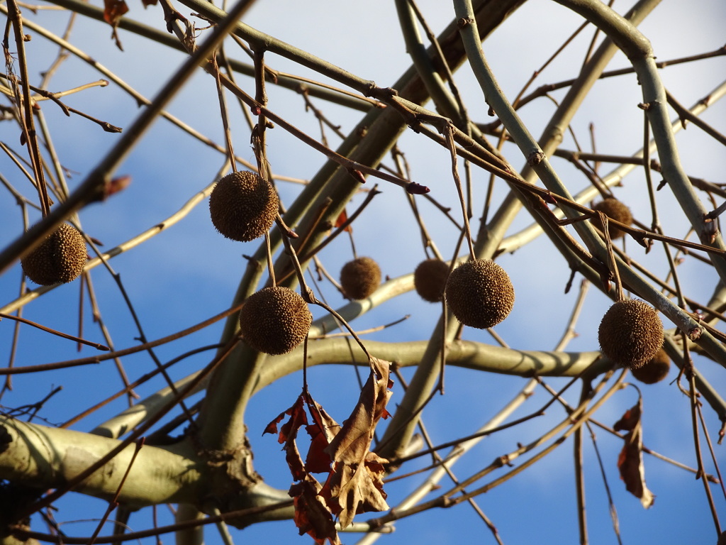 並んでブランコ