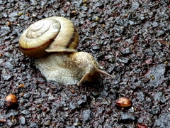 何かないかなぁ