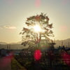 夕暮れ