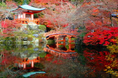 醍醐寺2