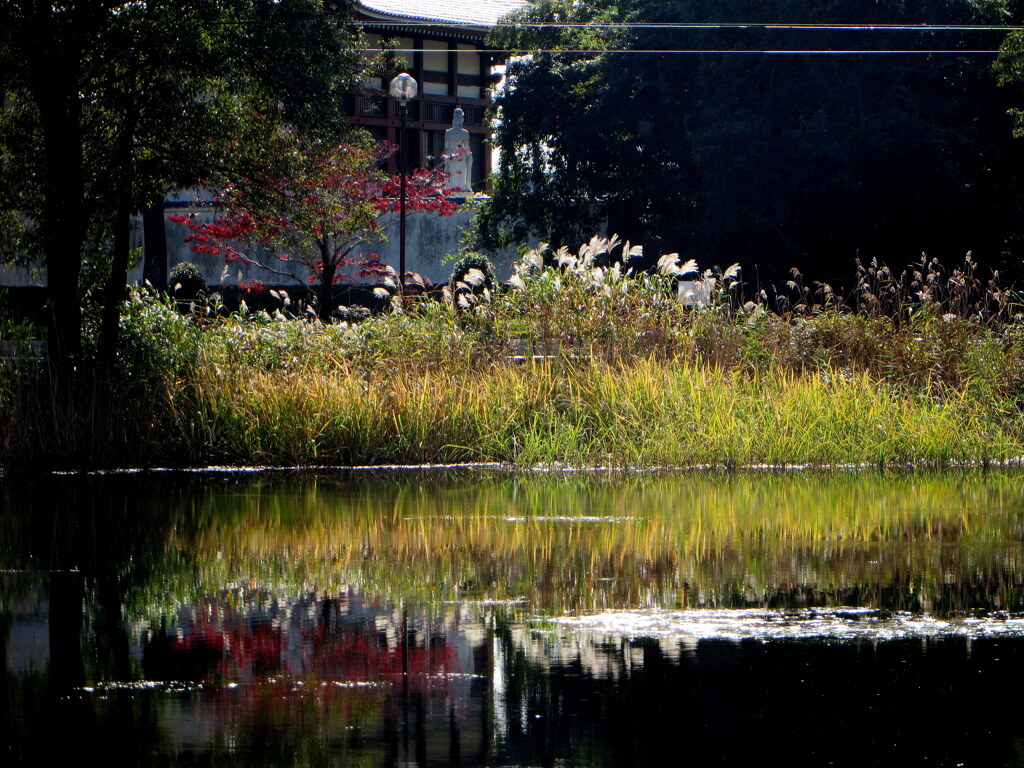 公園　秋模様