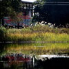 公園　秋模様