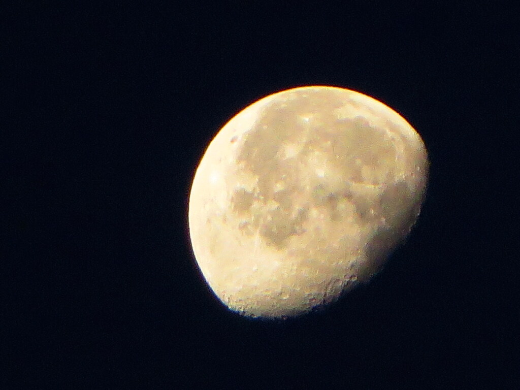 有明の月
