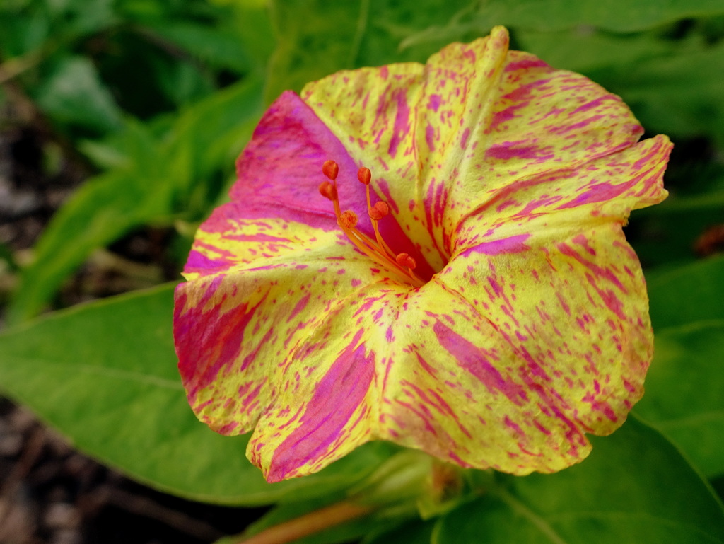 染まっちゃった^^