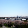 ぐるりと一周