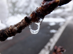 雪解け