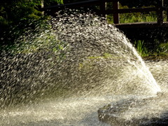 子供のいたずら