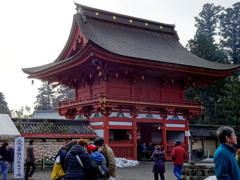 願いが叶いそうかな