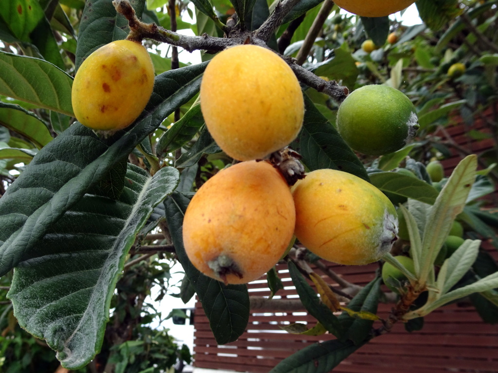 もう少し待ってね