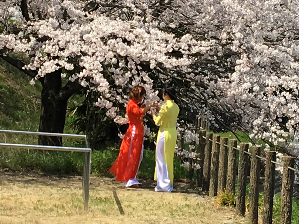 花に浮かれて2