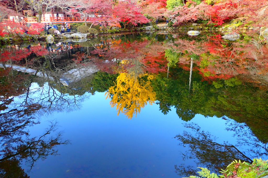 醍醐寺3