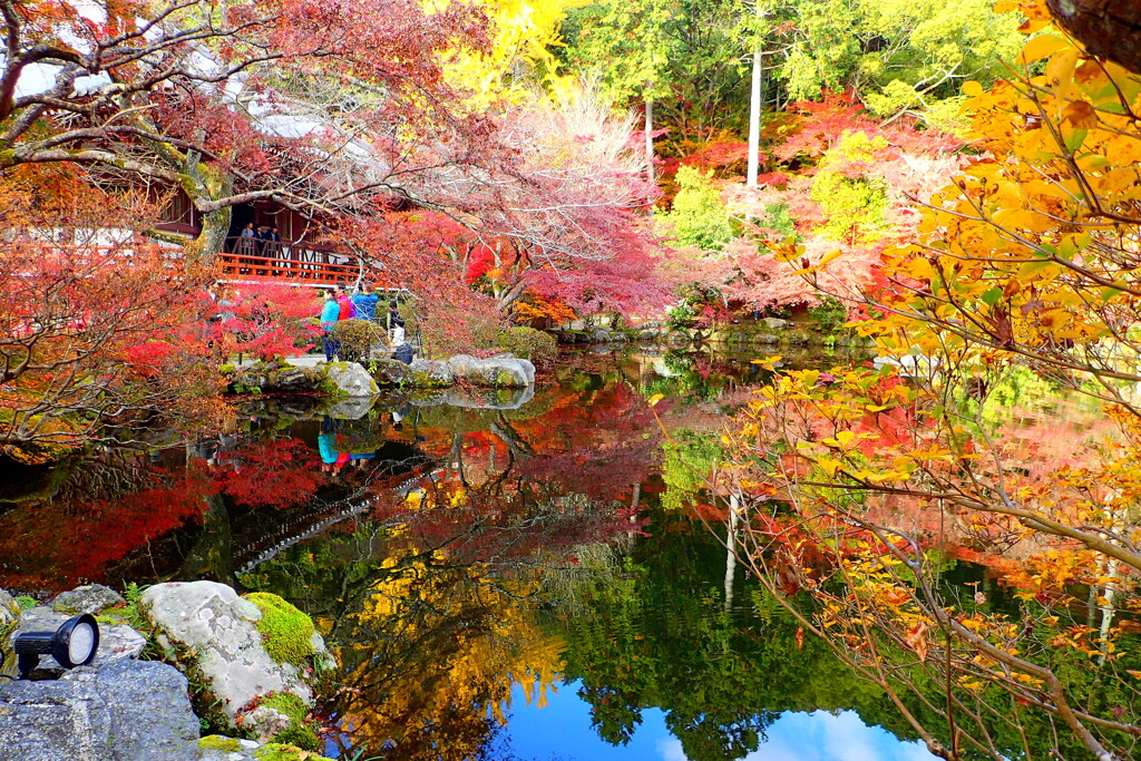 醍醐寺１
