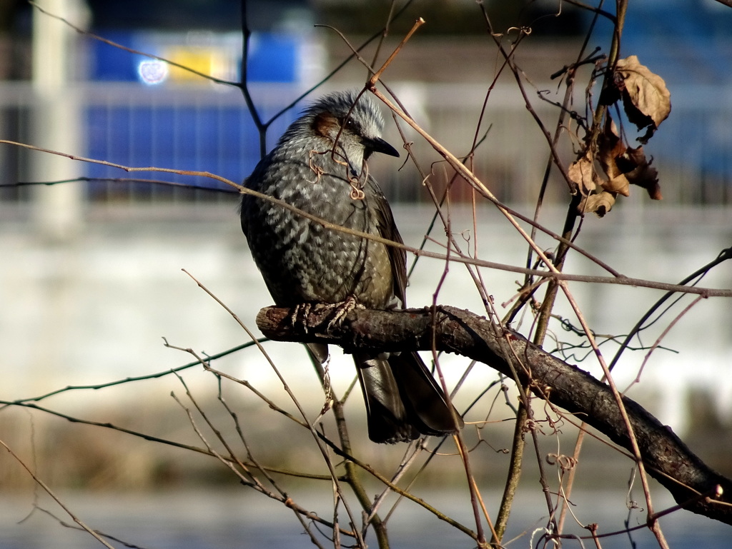 あ～～ぁくたびれた