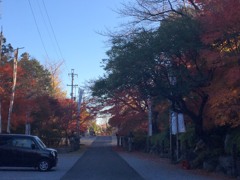 名残の紅葉