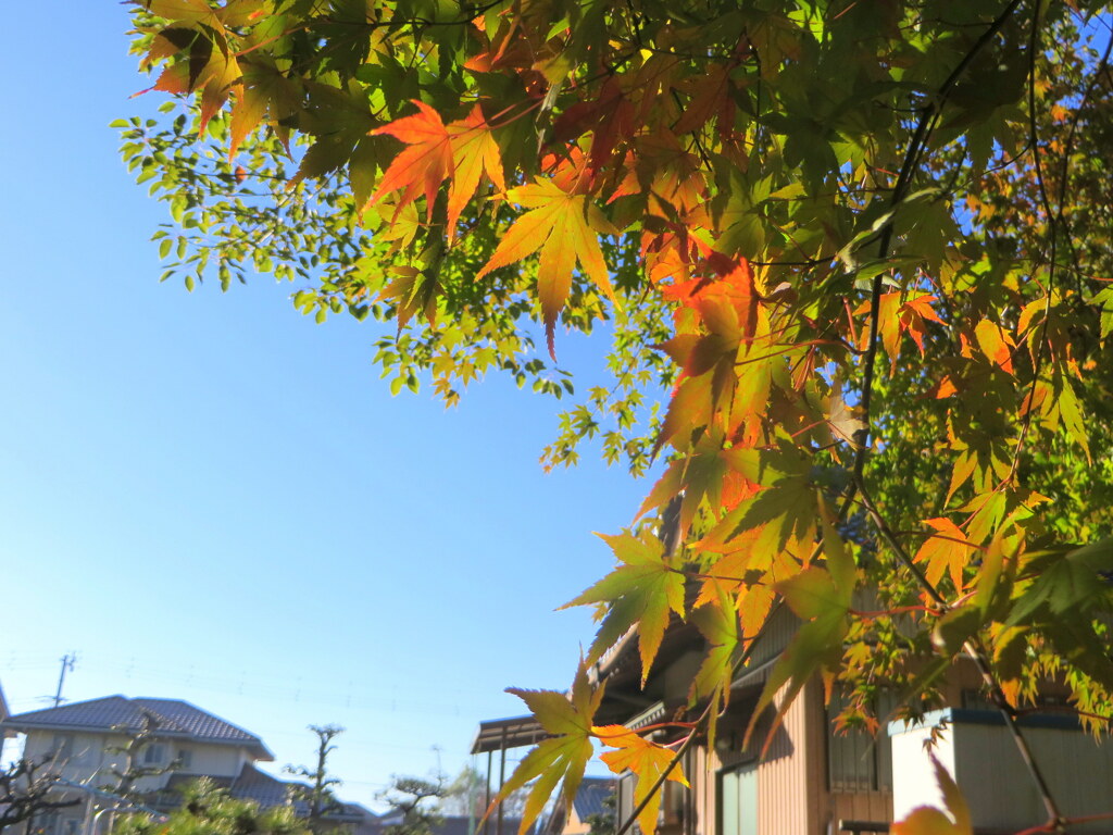 ぼちぼちと