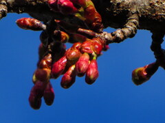 あと少し待っててね