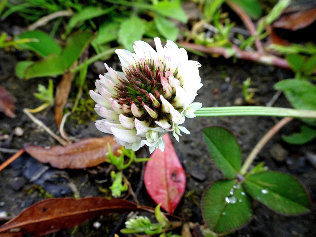 まだ独りぼっち