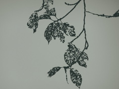 虫食い葉の芸術