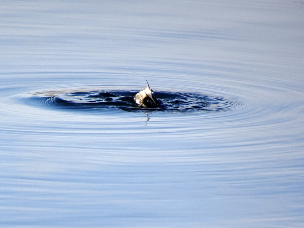 ちょっと失礼します