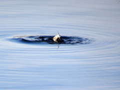 ちょっと失礼します