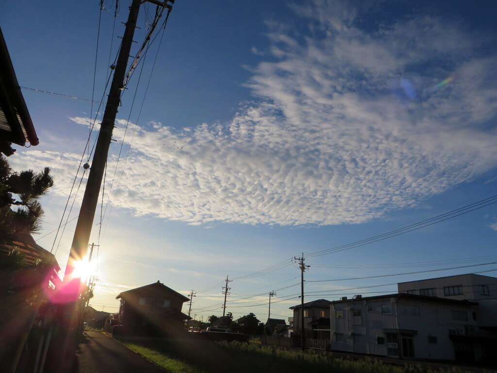 イワシ雲？