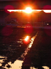 田んぼの夕日