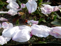 困ったなぁ・・・