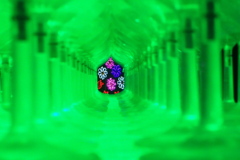 グラスの向こうにも