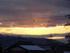 平成最後の光芒