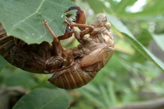 一緒に飛び立てたかな？