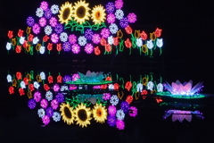 池の中のイルミネーション