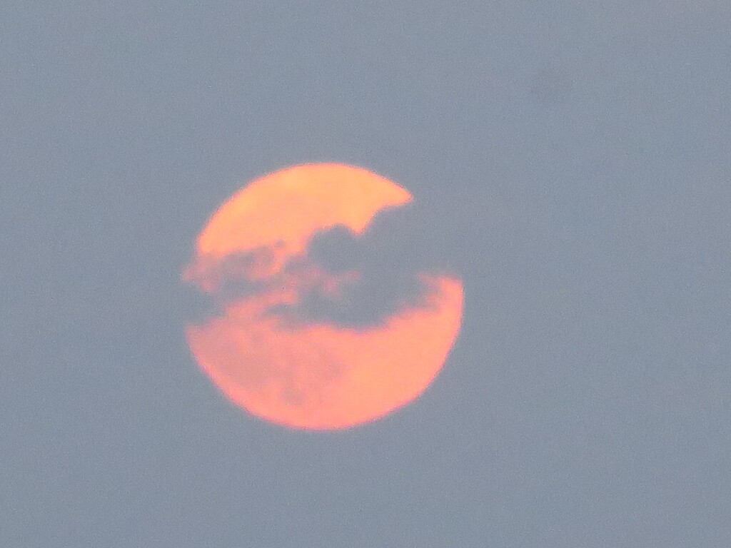 はずかしお月さま