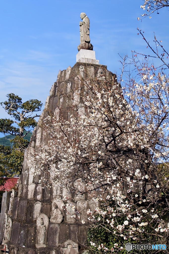 供養塔と白梅