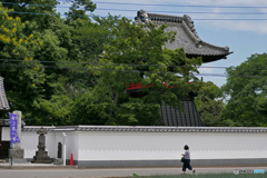 あじさい寺