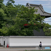 あじさい寺