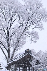 一日だけの雪国