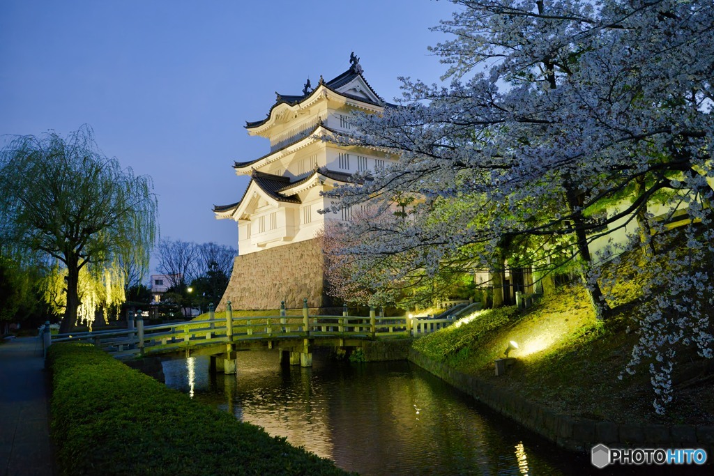 桜と忍城
