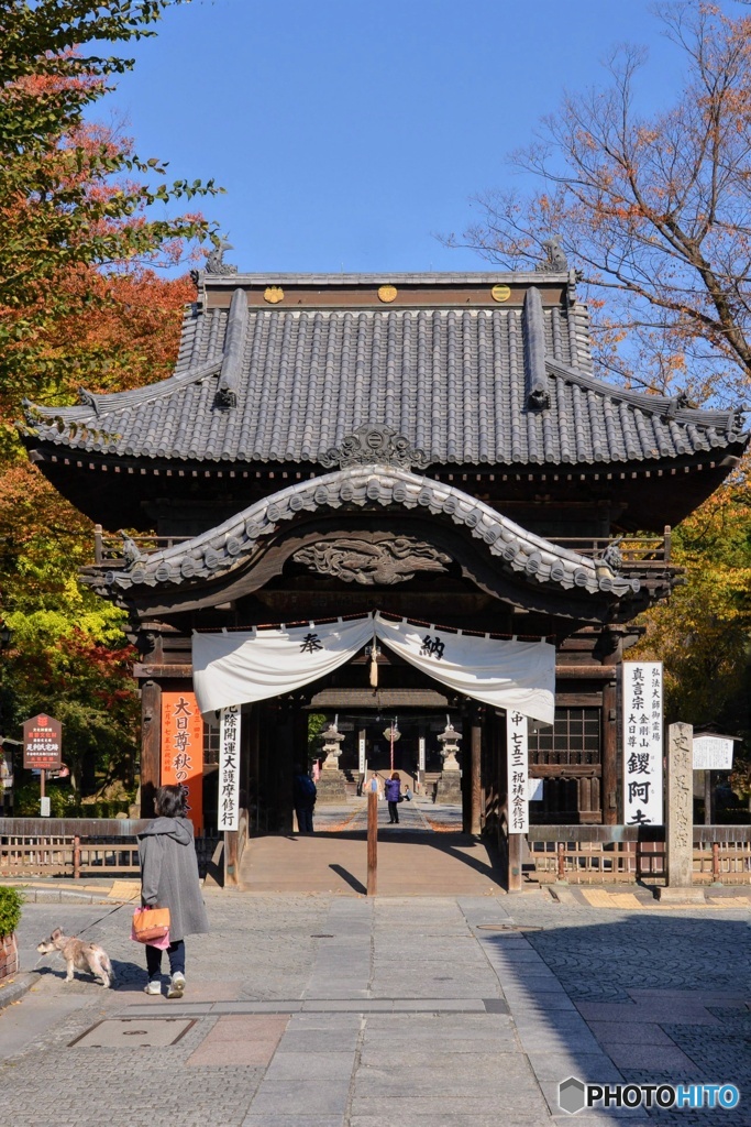 鑁阿寺山門