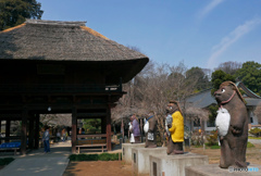 春の茂林寺